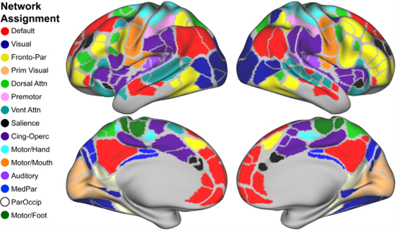 conectividad-cerebral-1