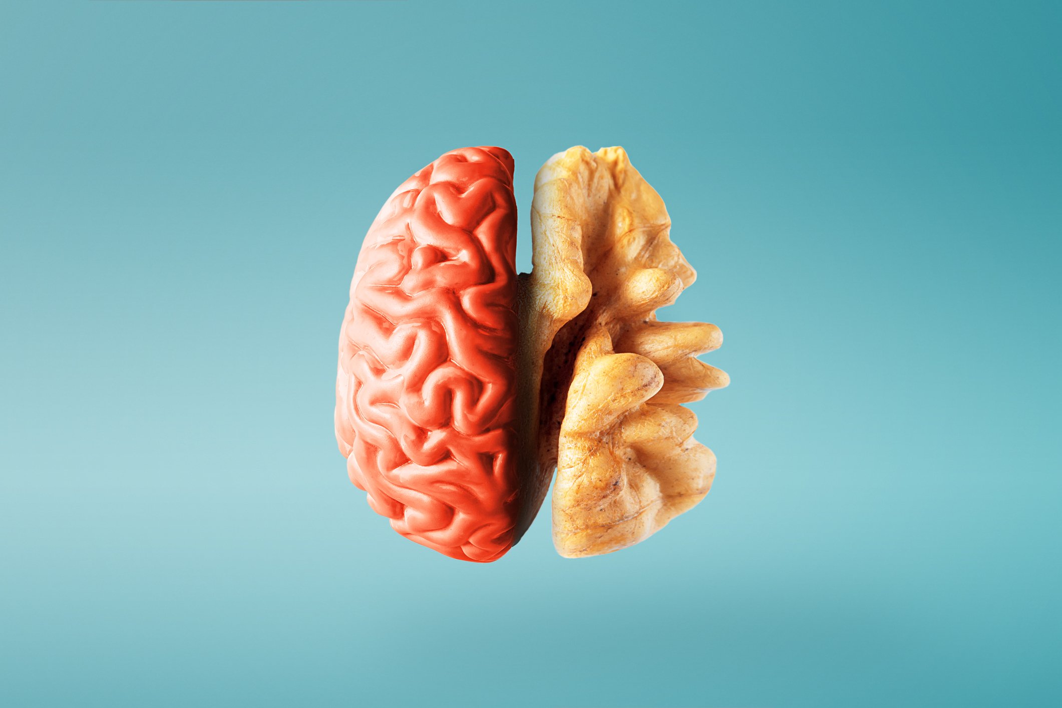 efectos-frutos-secos-cerebro