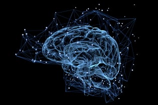 cerebro
