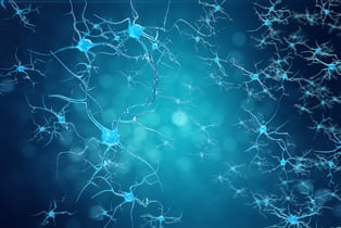 Neurogénesis qué es