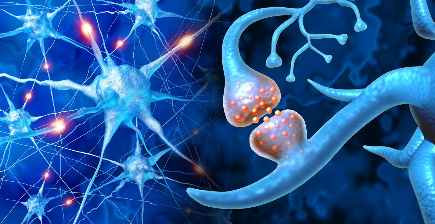 que-es-la-neuroplasticidad